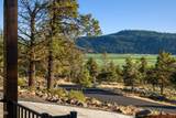 4205 Fox Sparrow Drive - Photo 12