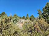  Drews Rd - Photo 5