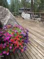 13442 Galium - Photo 10