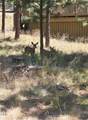 57641 Splitrock Lane - Photo 39