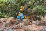 64699 Mcgrath Road - Photo 43