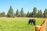 69175 Holmes Road - Photo 43