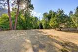 2459 Little Applegate Road - Photo 65