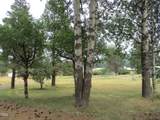 41763 Royal Coachman Drive - Photo 14