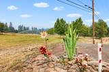9561 Hwy-140 - Photo 8
