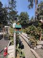449 Flounce Rock Road - Photo 39