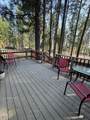 56548 Buckmaster Street - Photo 6