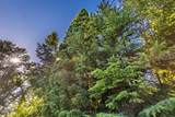 2211 Dick George Road - Photo 54