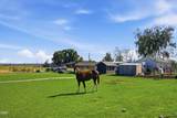 4799 Williams Road - Photo 60