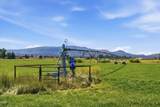 4799 Williams Road - Photo 64