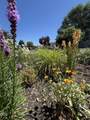 3500 Summers Lane - Photo 25
