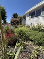 3500 Summers Lane - Photo 26