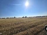 9425 Panorama View - Photo 13