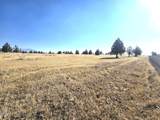 9425 Panorama View - Photo 15
