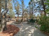 10898 Kingwood Drive - Photo 12