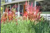 56125 Snow Goose Road - Photo 6