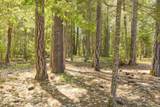 700 Mcmullen Creek Road - Photo 28