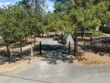 225 Andesite Drive - Photo 60