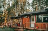 555 Ewe Creek Road - Photo 78