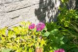 825 Wiest Way - Photo 39