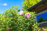 825 Wiest Way - Photo 41