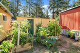 537 Thompson Creek Road - Photo 2