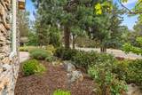 10847 Kestrel Road - Photo 49