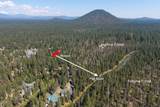 15150 Yellow Pine Loop - Photo 3