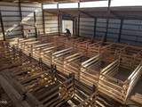 21405 Harpold Road - Photo 14