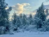 16932 Ponderosa Cascade Drive - Photo 47