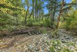 4315 Coyote Creek Road - Photo 31