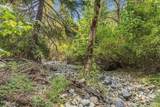 4315 Coyote Creek Road - Photo 33