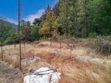 4315 Coyote Creek Road - Photo 39