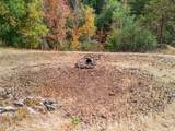4315 Coyote Creek Road - Photo 40