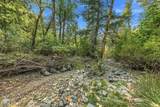 4315 Coyote Creek Road - Photo 54