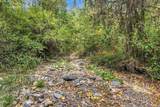 4315 Coyote Creek Road - Photo 55
