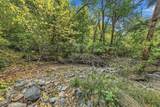 4315 Coyote Creek Road - Photo 56