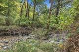 4315 Coyote Creek Road - Photo 57