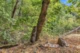4315 Coyote Creek Road - Photo 58