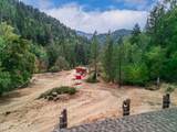 4315 Coyote Creek Road - Photo 64