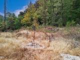 4315 Coyote Creek Road - Photo 80