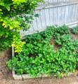 20705 Wishing Well Court - Photo 28