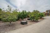 2617 Florer Drive - Photo 37
