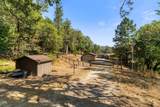 12330 Evans Creek Road - Photo 51