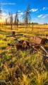  Valley Oak - Photo 16