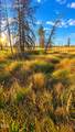  Valley Oak - Photo 21