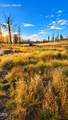  Valley Oak - Photo 23