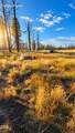  Valley Oak - Photo 27