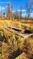  Valley Oak - Photo 28