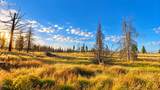  Valley Oak - Photo 9